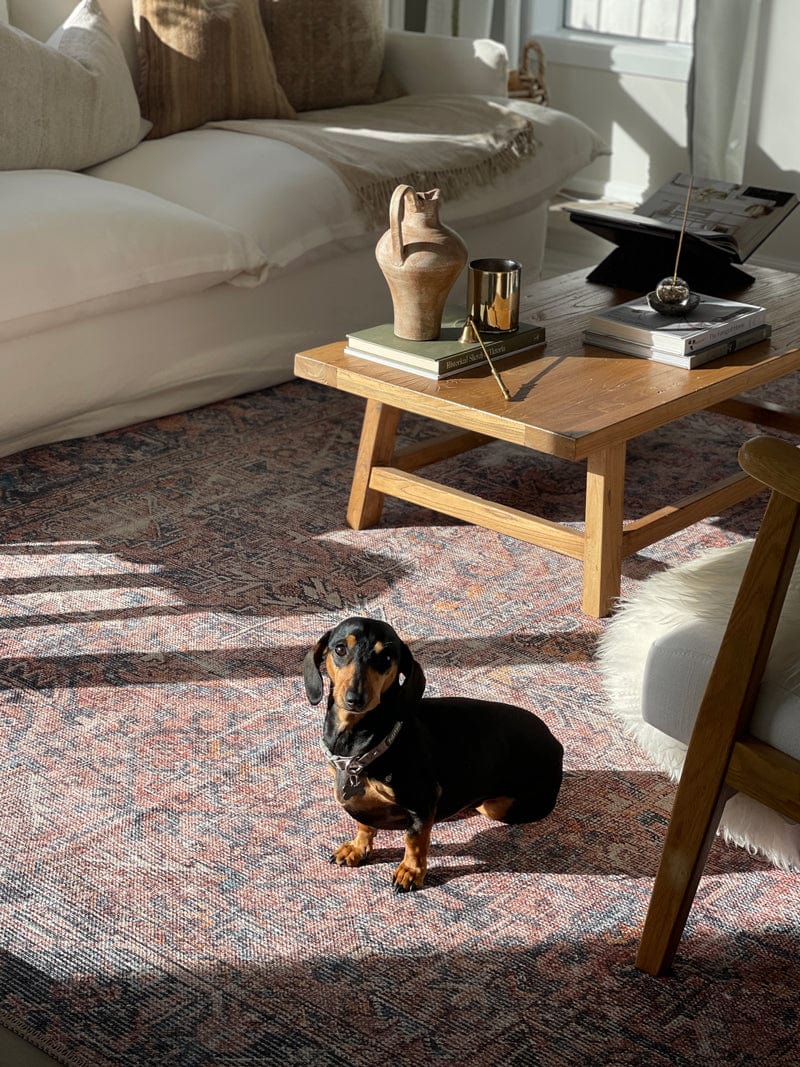 anyel brown and blue traditional distressed washable rug*no returns unless faulty anyel brown and blue traditional distressed washable rug*no returns unless faulty