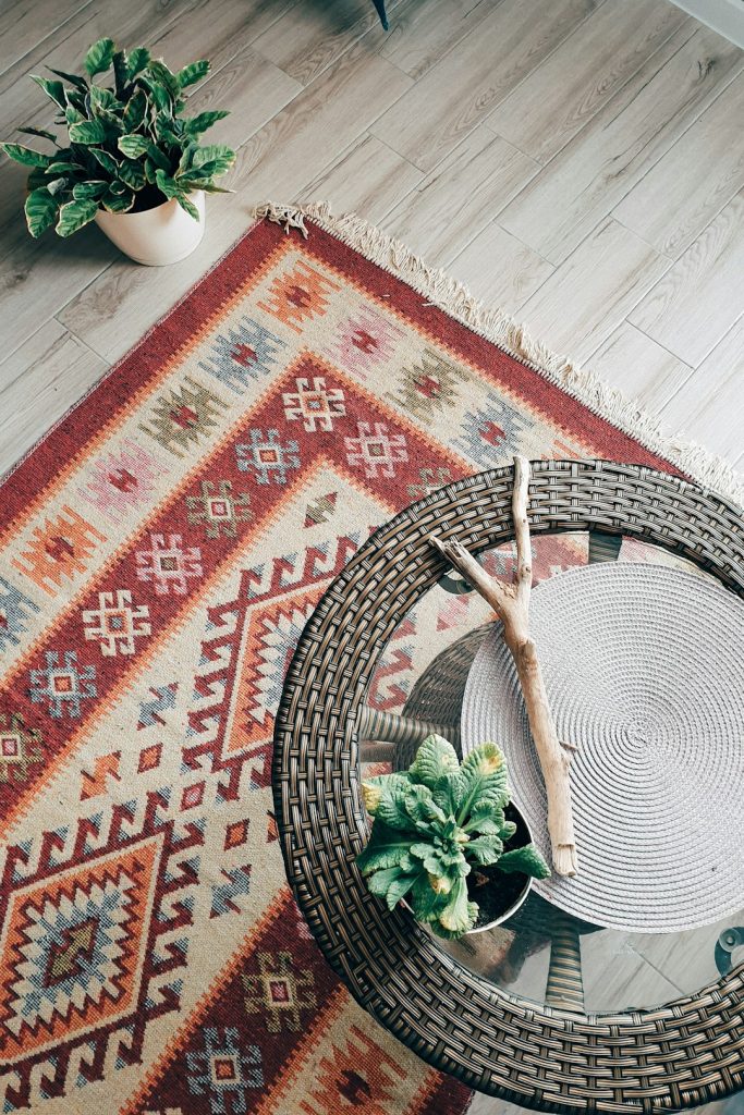 green-plant-on-red-and-white-area-rug-8gnbhf5agcs